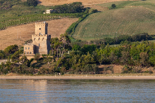 Pineto -  Area marina protetta  Torre del Cerrano, al via i lavori del Giardino Mediterraneo